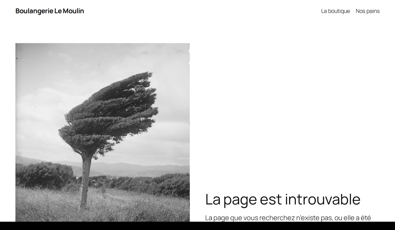 Page 404 générée par WordPress, avec l'en-tête, le menu et le pied de page du site