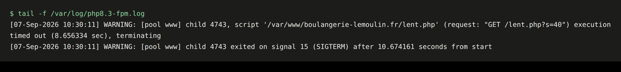 Les deux lignes écrites par PHP-FPM quand request_terminate_timeout tue une requête : le script fautif y est nommé