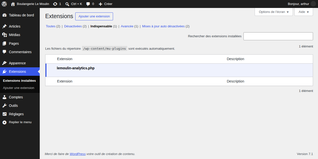 L'onglet Indispensable de la page des extensions, listant un fichier sans aucune case à cocher ni action possible